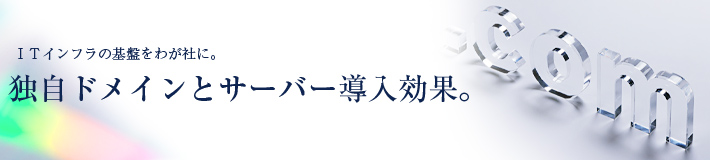 独自ドメインとサーバー導入効果。